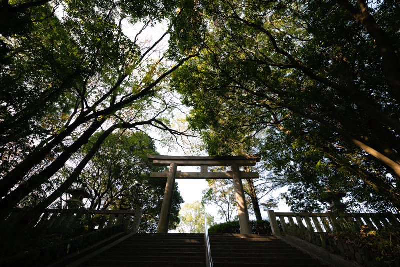 ⛩️ 오이타현 호국신사 (오이타켄 고코쿠 진자) 이미지 4